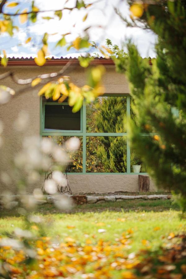 Casa Akacia Hotell Telavi Eksteriør bilde